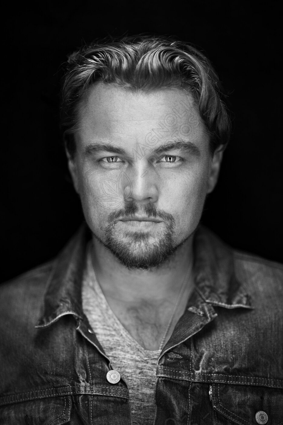Leonardo DiCaprio